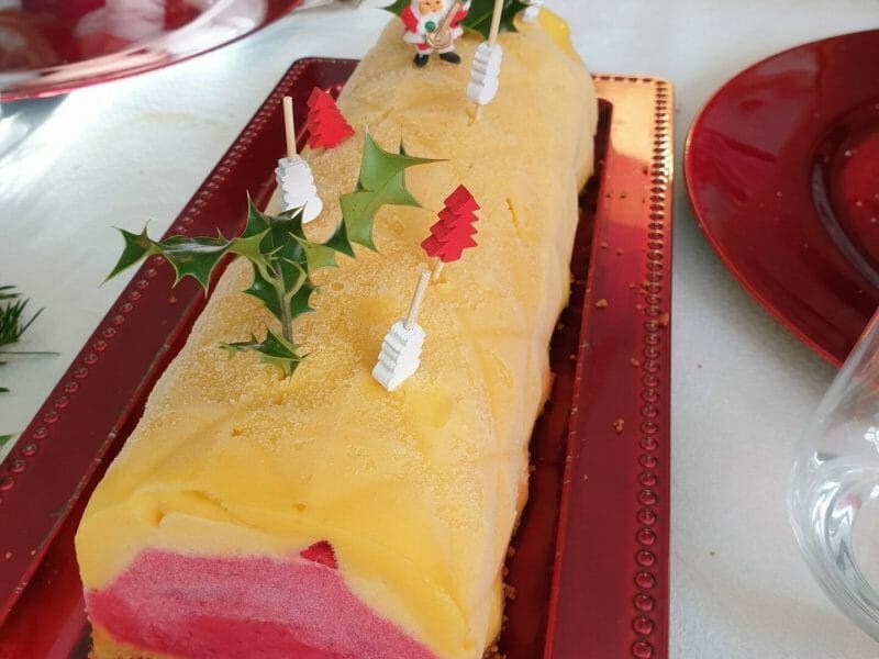 Cliquez pour zoomer ! Bûche glacée mangue et framboise Thermomix par lenaik_1