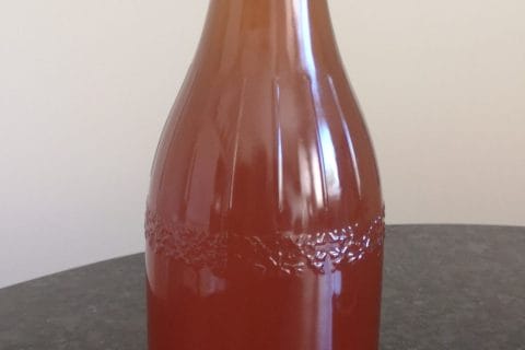 Cliquez pour zoomer ! Sirop de thé glacé – Ice tea citron menthe Thermomix par Fanchon21