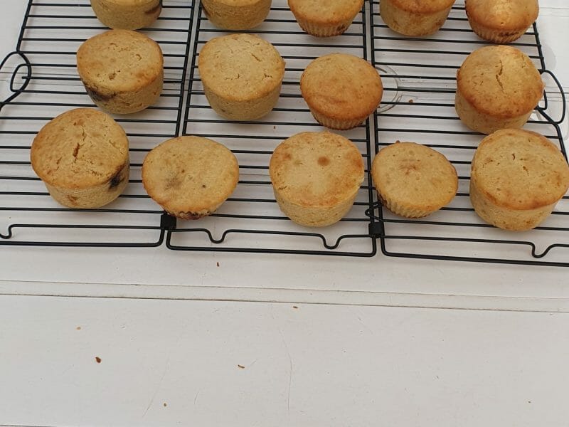 Cliquez pour zoomer ! Doffins Thermomix par Dani