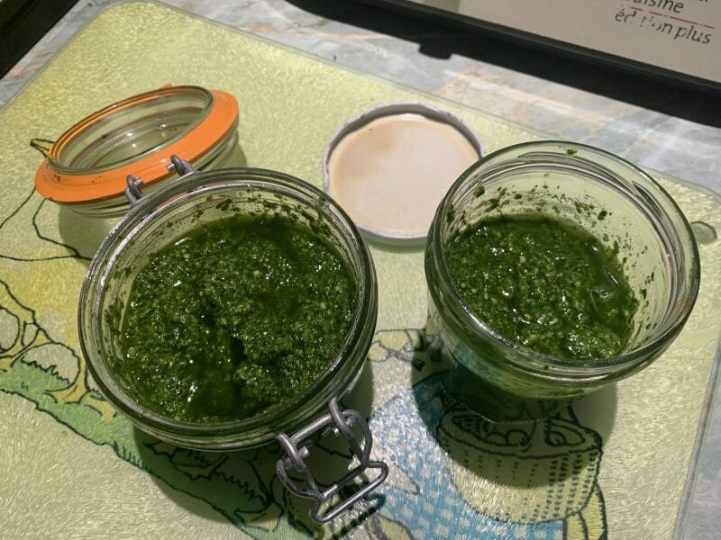 Cliquez pour zoomer ! Pesto à l’ail des ours Thermomix par tatienathou