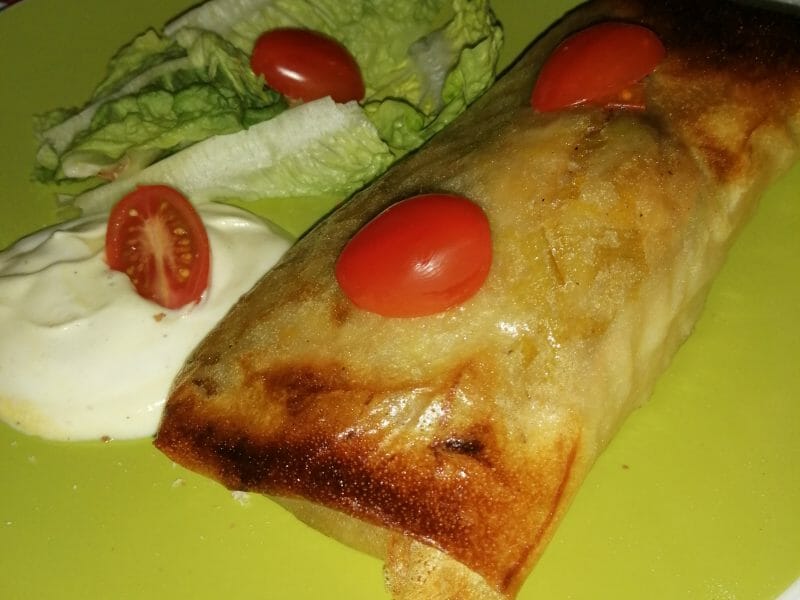 Cliquez pour zoomer ! Brick de saumon et poireaux Thermomix par chriistine