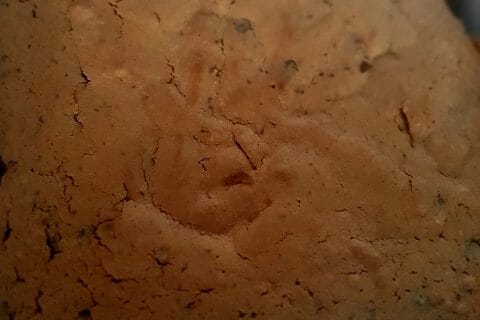 Cliquez pour zoomer ! La Tendresse au Thermomix