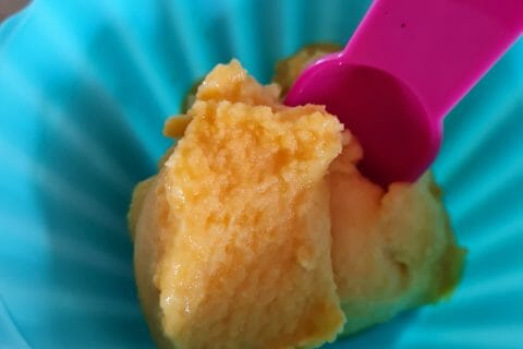 Cliquez pour zoomer ! Sorbet à la clémentine Thermomix par elodye-04
