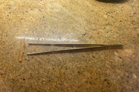 Cliquez pour zoomer ! Photo de dereodile