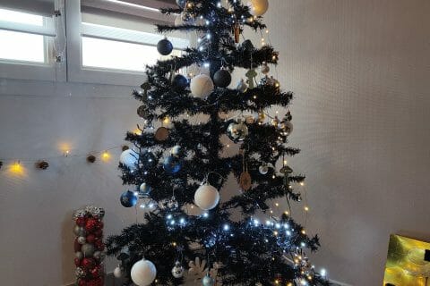 Cliquez pour zoomer ! Lait de poule Thermomix par helene_47