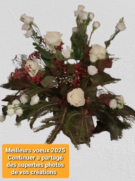 Cliquez pour zoomer ! Photo de Omatruus Thermomix par Omatruus