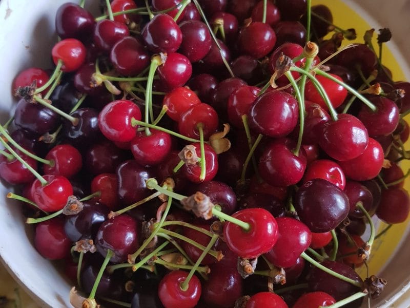 Cliquez pour zoomer ! Photo de Omatruus Thermomix par Omatruus