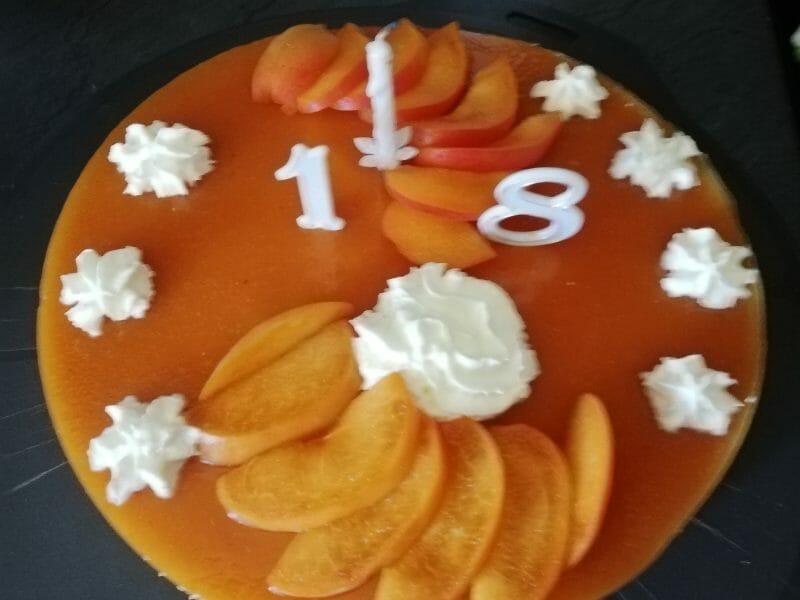 Cliquez pour zoomer ! Bavarois à l’abricot Thermomix par cocojs