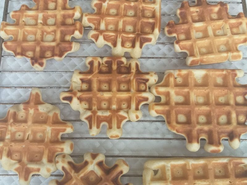 Cliquez pour zoomer ! Gaufres longue conservation Thermomix par hayatkoi