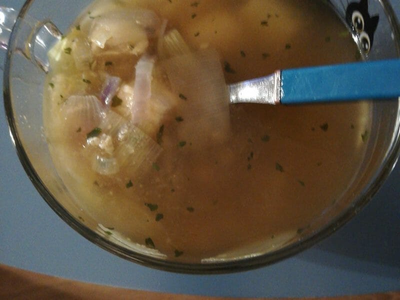 Cliquez pour zoomer ! Bouillon Chinois, poulet et poireaux Thermomix par Lce59155