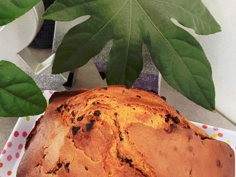 Cliquez pour zoomer ! Plum cake aux pépites de chocolat Thermomix par fililou54