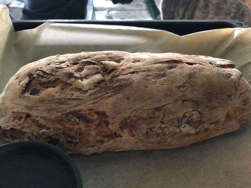 Cliquez pour zoomer ! Petits pains aux figues Thermomix par marie_171429