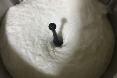 Cliquez pour zoomer ! Sorbet citron Thermomix par Abla