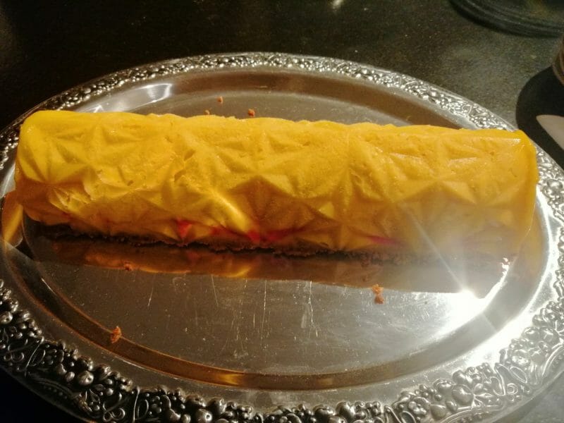 Cliquez pour zoomer ! Bûche glacée mangue et framboise Thermomix par axeleojpmanue