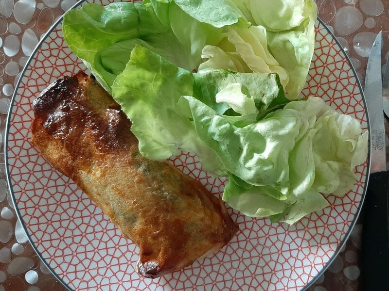 Cliquez pour zoomer ! Brick de saumon et poireaux Thermomix par thewhitedress