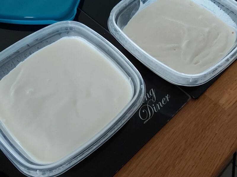 Cliquez pour zoomer ! Glace au yaourt Thermomix par roseouest