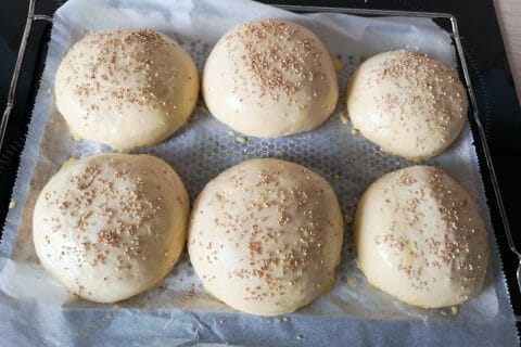 Cliquez pour zoomer ! Pains hamburger Thermomix par tymphadric