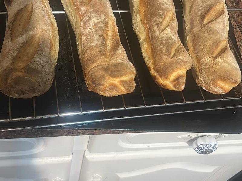 Cliquez pour zoomer ! Baguettes Thermomix par Fleur de Lotus