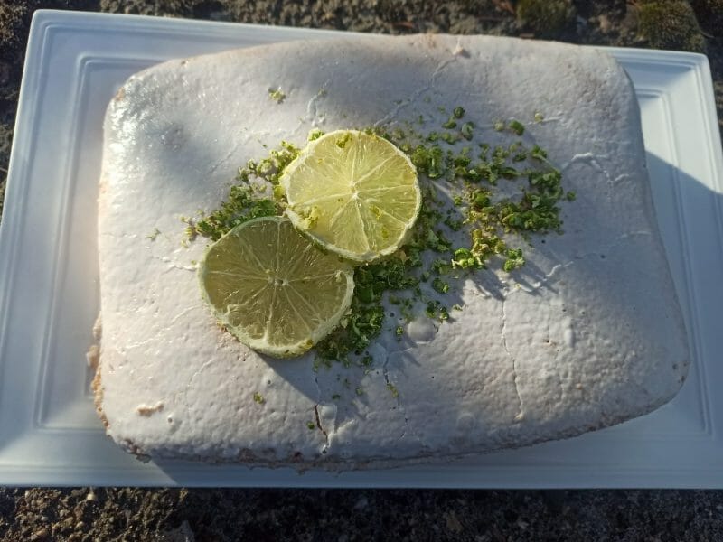 Cliquez pour zoomer ! Délice au citron vert Thermomix par florazur