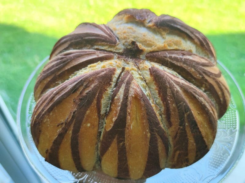 Cliquez pour zoomer ! Pain Cocotte Thermomix par Anne-k