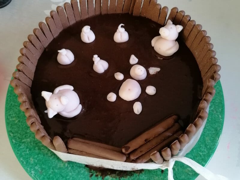 Cliquez pour zoomer ! La mare aux cochons Thermomix par sab44390