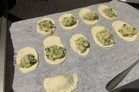 Cliquez pour zoomer ! Gyoza poulet et chou chinois Thermomix par mkwe