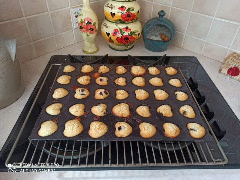 Cliquez pour zoomer ! Financiers Thermomix par christelle_73