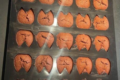Cliquez pour zoomer ! Financiers au chocolat Thermomix par lulu2510