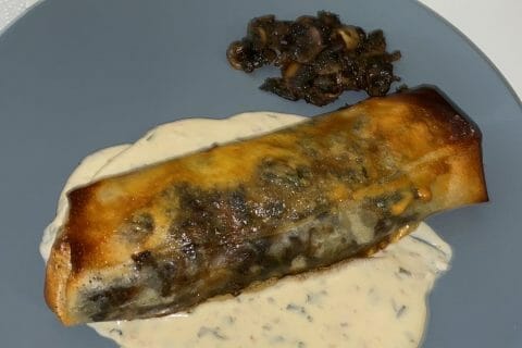 Cliquez pour zoomer ! Brick de saumon et poireaux Thermomix par julien_44