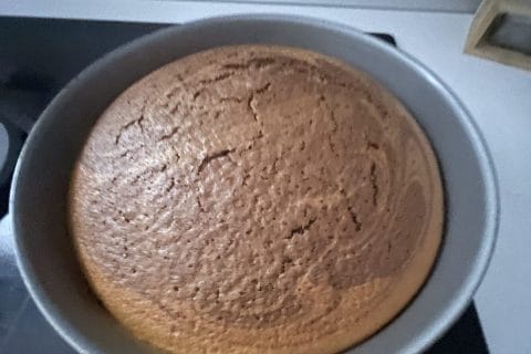 Cliquez pour zoomer ! Marbré au chocolat Thermomix par jessicar1