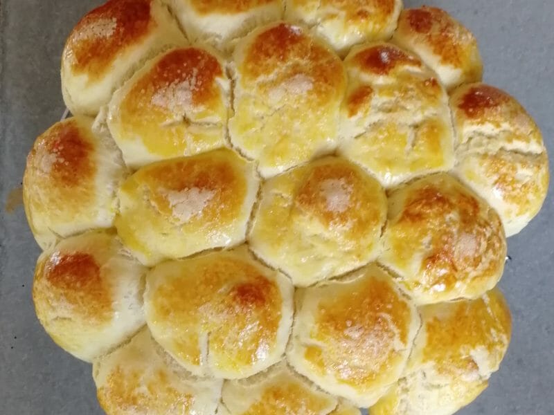 Cliquez pour zoomer ! Brioche Buchty Thermomix par ben_iko