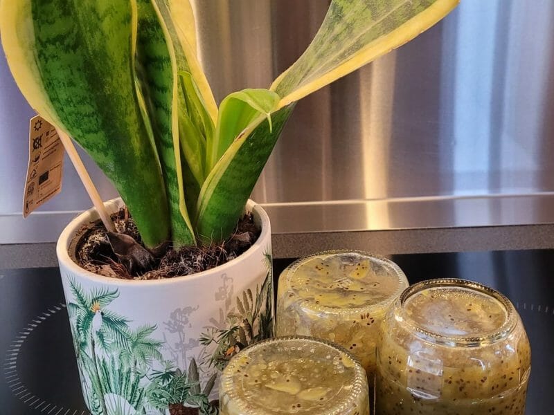 Cliquez pour zoomer ! Confiture kiwis bananes Thermomix par lacuisinededanielle