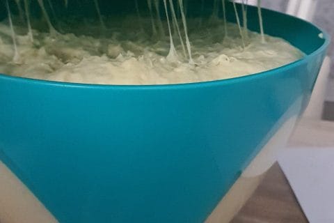 Cliquez pour zoomer ! Brioche Buchty Thermomix par LOLOTTE