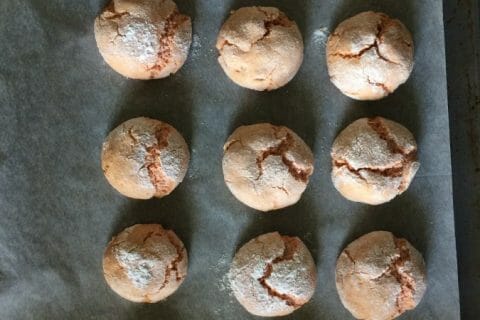 Cliquez pour zoomer ! Craquelés aux biscuits roses de Reims au Thermomix