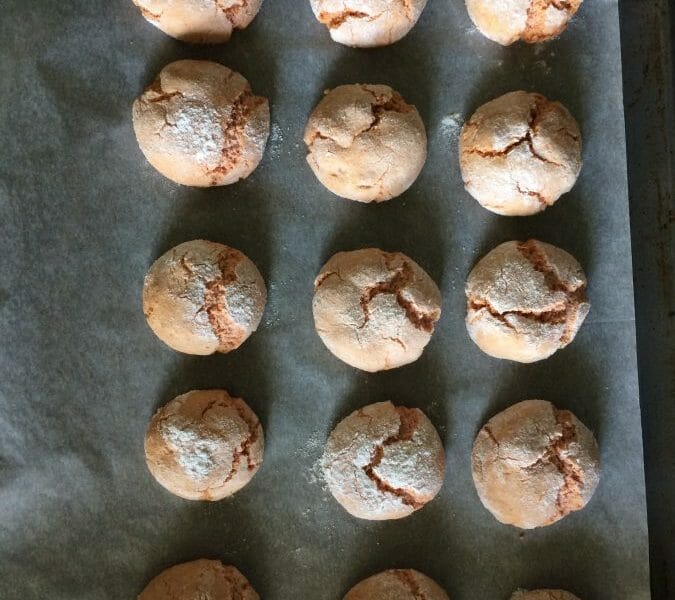 Cliquez pour zoomer ! Craquelés aux biscuits roses de Reims Thermomix par Flomomix92