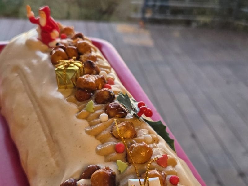 Cliquez pour zoomer ! Bûche pralinée aux éclats de noisettes caramélisés Thermomix par lolosasha