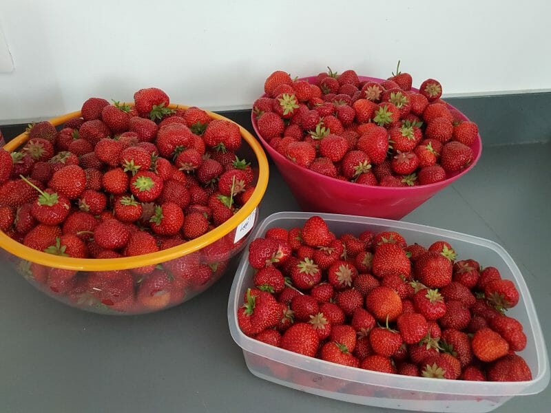Confiture de fraises au Thermomix Cookomix