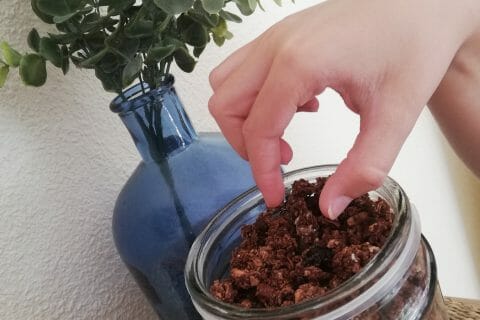 Cliquez pour zoomer ! Granola au chocolat Thermomix par celine6440