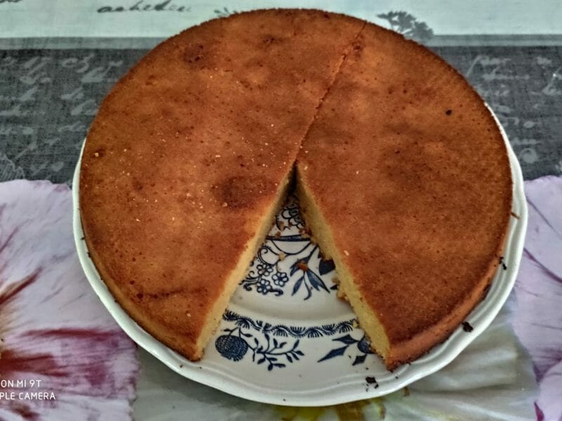 Gateau Ti Son Au Thermomix Cookomix Gateau Ti Son Au Thermomix Cookomix