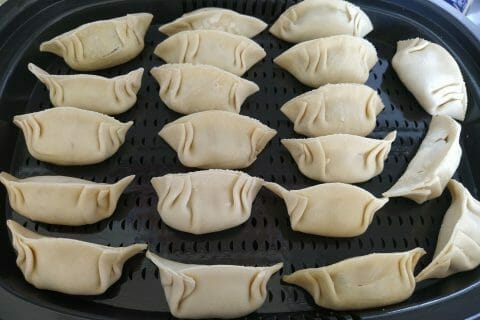 Cliquez pour zoomer ! Gyoza poulet et chou chinois Thermomix par Mama_naturo13