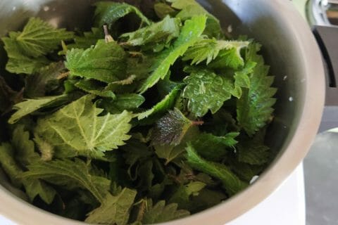 Cliquez pour zoomer ! Soupe d’orties Thermomix par celine_190