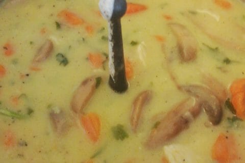 Cliquez pour zoomer ! Blanquette de poulet Thermomix par nanouna