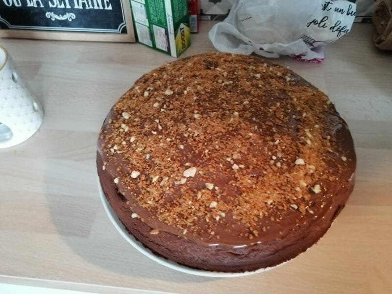 Cliquez pour zoomer ! Gâteau au yaourt et chocolat Thermomix par or_1