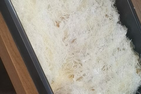 Cliquez pour zoomer ! Ficelles picardes Thermomix par marine_127