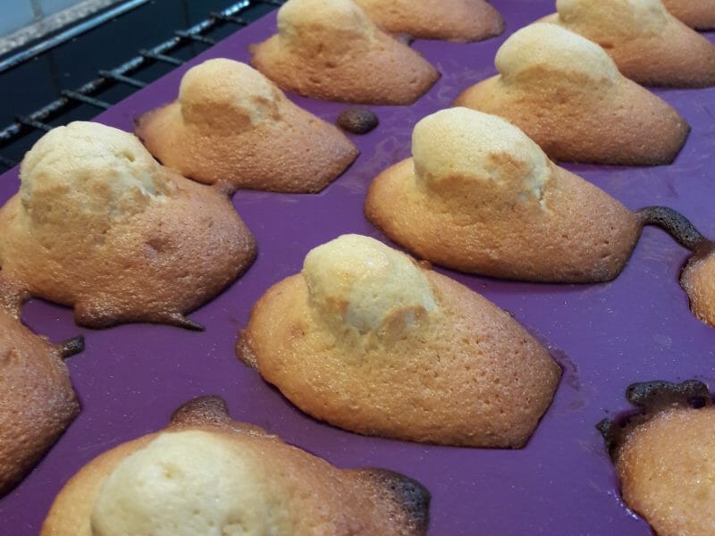 Cliquez pour zoomer ! Madeleines Thermomix par Barbara bibulle