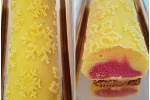 Cliquez pour zoomer ! Bûche glacée mangue et framboise Thermomix par Nathch