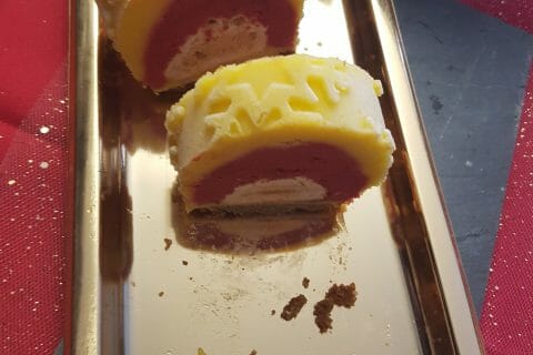 Cliquez pour zoomer ! Bûche glacée mangue et framboise Thermomix par Nathch