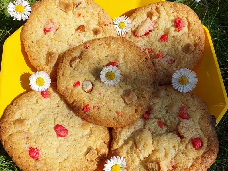 Cliquez pour zoomer ! Cookies aux éclats de pralines roses et pépites de chocolat Thermomix par Nathch