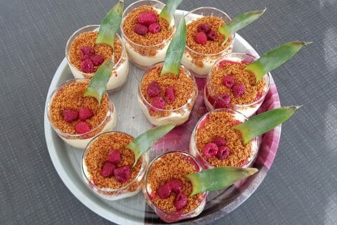 Cliquez pour zoomer ! Tiramisu à l’ananas et son coulis de framboises Thermomix par Nanou 12