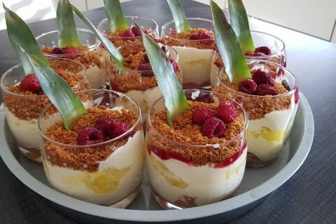 Cliquez pour zoomer ! Tiramisu à l’ananas et son coulis de framboises Thermomix par Nanou 12